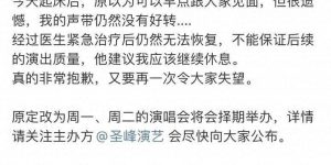 陈奕迅杭州演唱会出炉退款方案，但从“黄牛”那买的票退不了缩略图