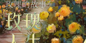 《玫瑰的故事》全集阿里云盘百度云网盘【1080P高清】下载缩略图