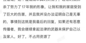 戴向宇否认不当行为，工作全暂停，无奈表示：就算出示清白证明也难服众缩略图