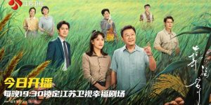 《幸福草》全集百度云网盘在线免费观看【高清1080P】迅雷资源下载缩略图