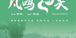 《凤鸣飞天》百度云资源下载【BD1280P高清】云网盘缩略图